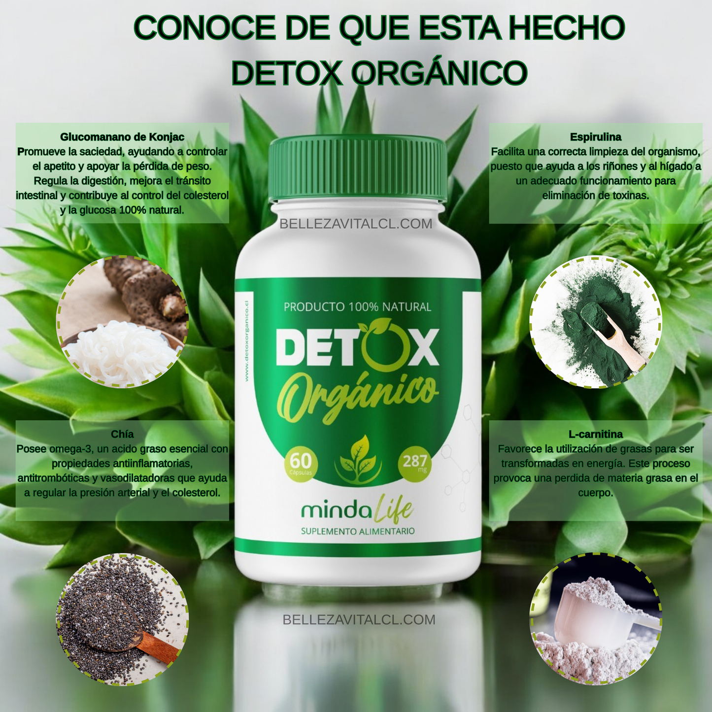 Detox Organico
