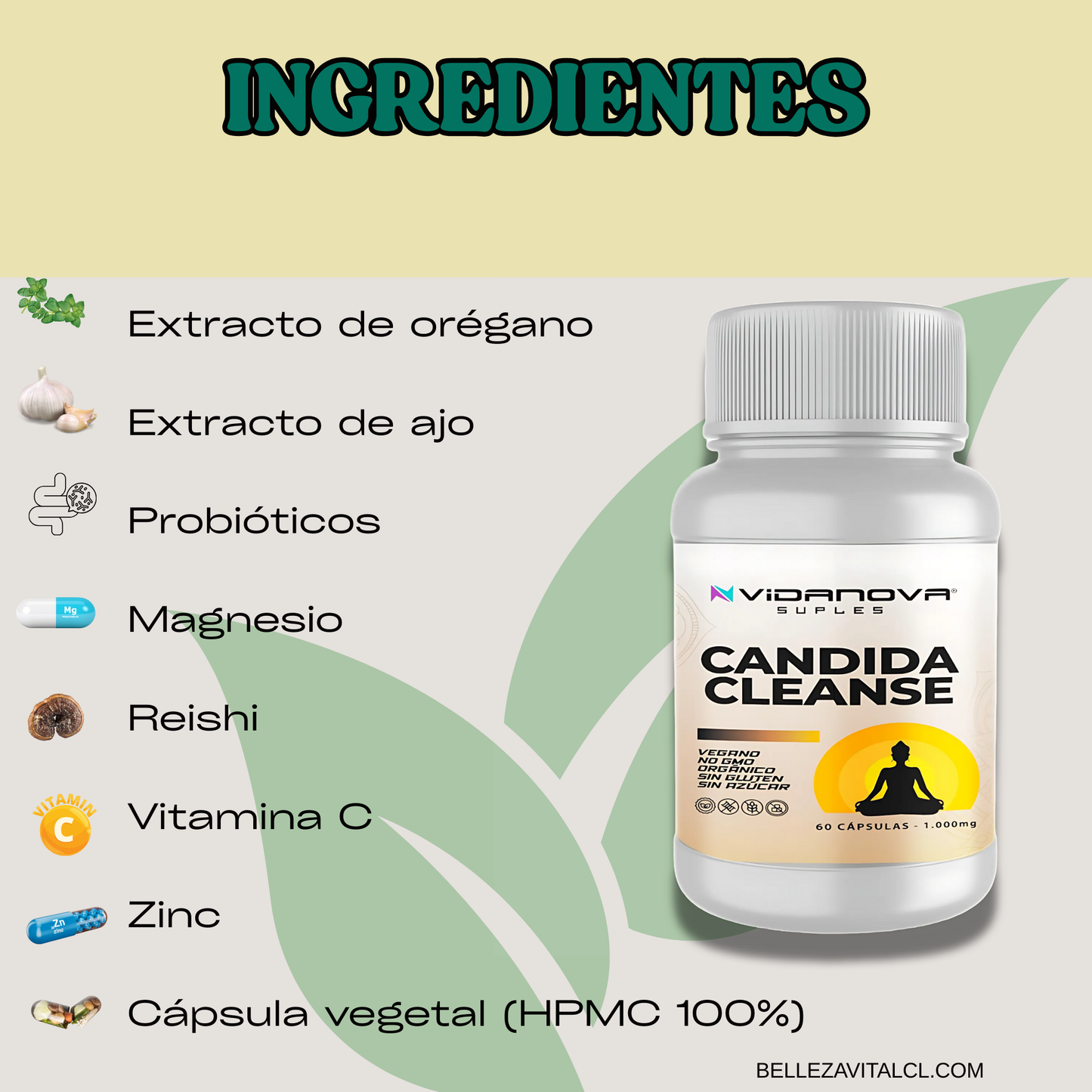 CANDIDA CLEANSE 1000MG 60 CAPS